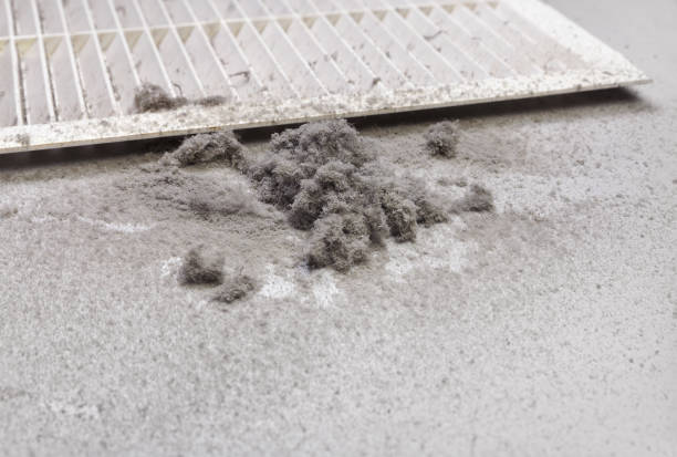 Best Affordable HVAC Duct Cleaning  in Brevard, NC