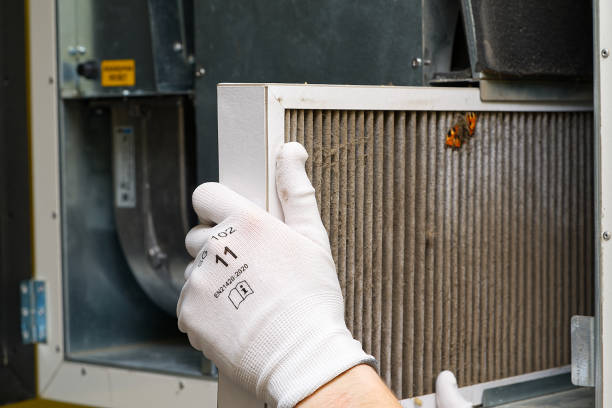 Best Local Air Duct Cleaning Services  in Brevard, NC