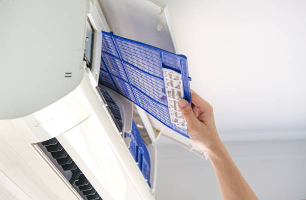 Air Duct Mold Removal in Brevard, NC