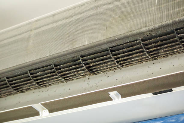 Best Air Quality Test  in Brevard, NC